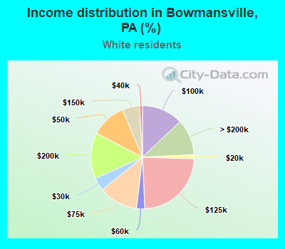 Income distribution in Bowmansville, PA (%)