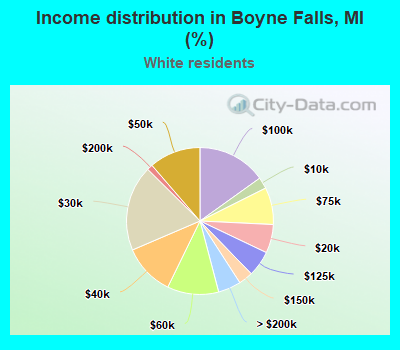 Income distribution in Boyne Falls, MI (%)