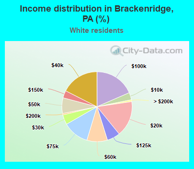 Income distribution in Brackenridge, PA (%)