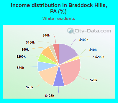Income distribution in Braddock Hills, PA (%)