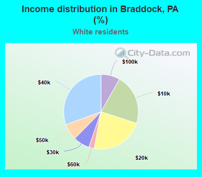 Income distribution in Braddock, PA (%)