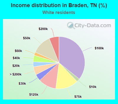 Income distribution in Braden, TN (%)