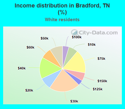 Income distribution in Bradford, TN (%)