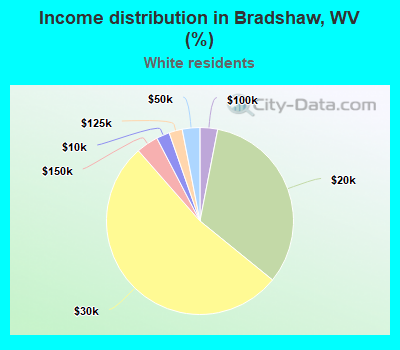 Income distribution in Bradshaw, WV (%)