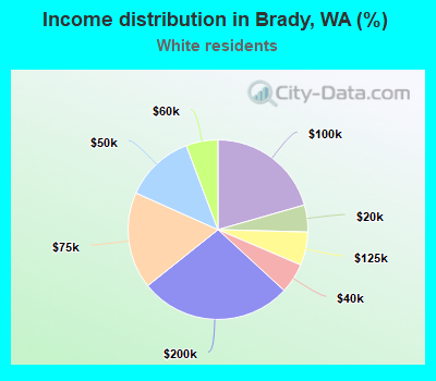 Income distribution in Brady, WA (%)