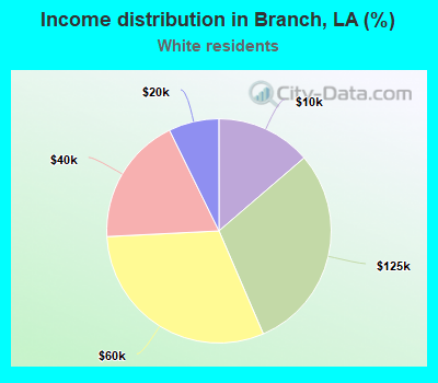 Income distribution in Branch, LA (%)