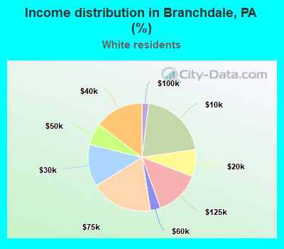 Income distribution in Branchdale, PA (%)