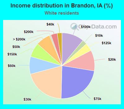 Income distribution in Brandon, IA (%)