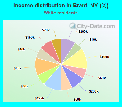 Income distribution in Brant, NY (%)