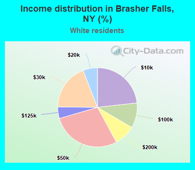 Income distribution in Brasher Falls, NY (%)