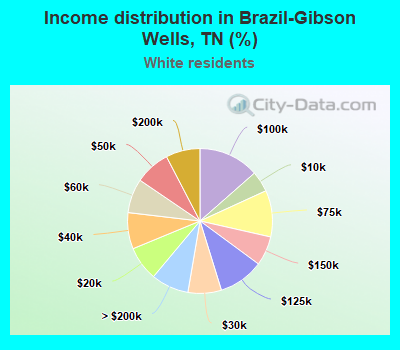 Income distribution in Brazil-Gibson Wells, TN (%)