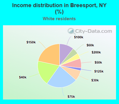 Income distribution in Breesport, NY (%)