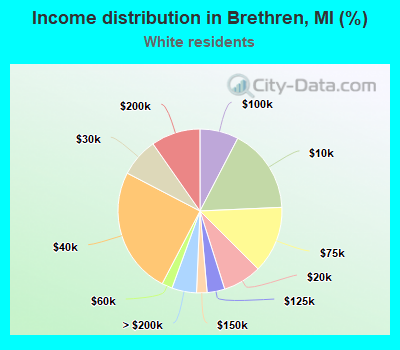 Income distribution in Brethren, MI (%)