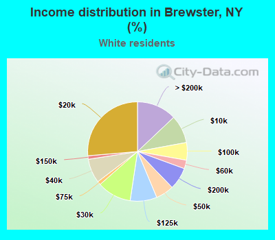 Income distribution in Brewster, NY (%)