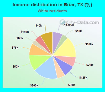 Income distribution in Briar, TX (%)