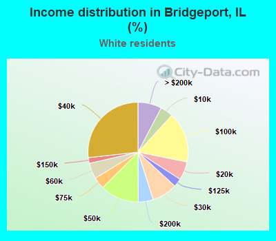 Income distribution in Bridgeport, IL (%)