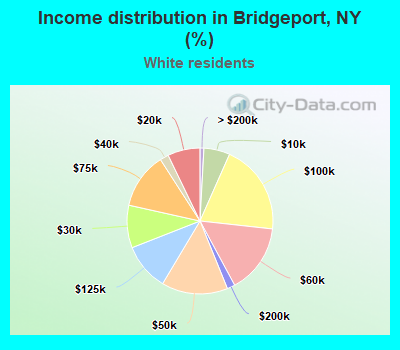 Income distribution in Bridgeport, NY (%)