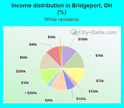 Income distribution in Bridgeport, OH (%)