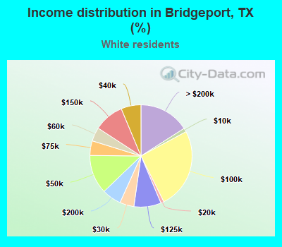 Income distribution in Bridgeport, TX (%)