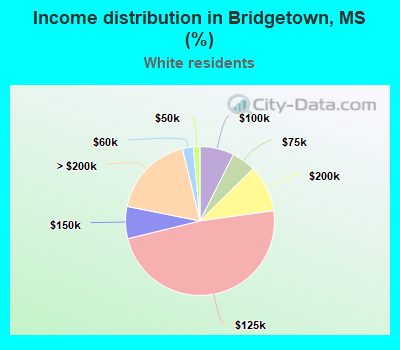 Income distribution in Bridgetown, MS (%)