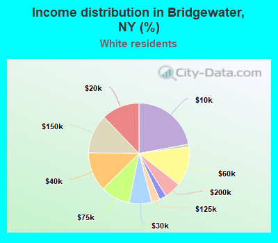 Income distribution in Bridgewater, NY (%)