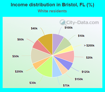Income distribution in Bristol, FL (%)