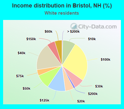 Income distribution in Bristol, NH (%)