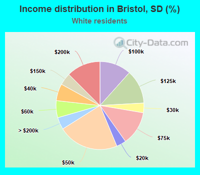 Income distribution in Bristol, SD (%)