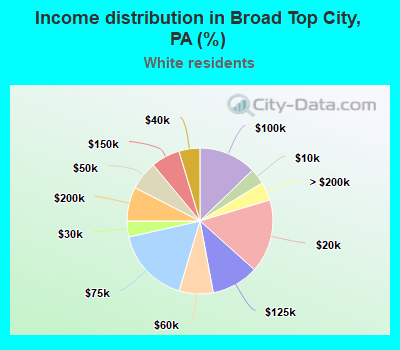 Income distribution in Broad Top City, PA (%)