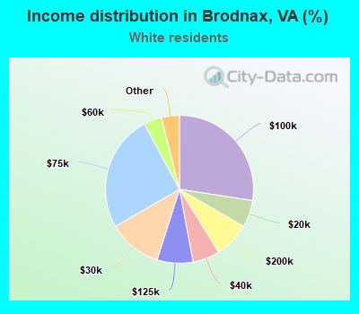 Income distribution in Brodnax, VA (%)