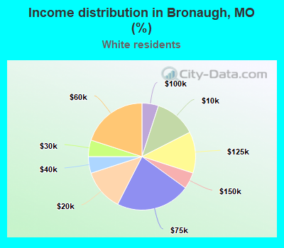 Income distribution in Bronaugh, MO (%)