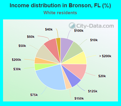 Income distribution in Bronson, FL (%)