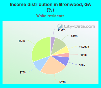Income distribution in Bronwood, GA (%)