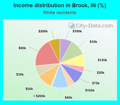Income distribution in Brook, IN (%)