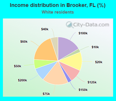 Income distribution in Brooker, FL (%)