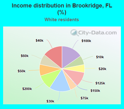 Income distribution in Brookridge, FL (%)