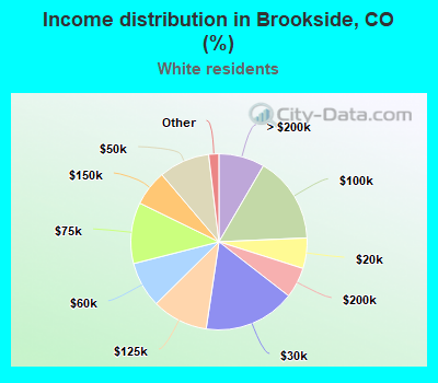 Income distribution in Brookside, CO (%)