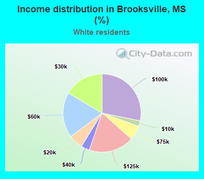 Income distribution in Brooksville, MS (%)