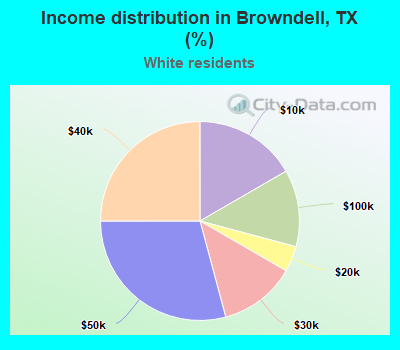 Income distribution in Browndell, TX (%)