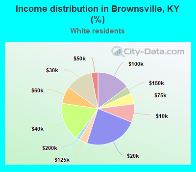 Income distribution in Brownsville, KY (%)