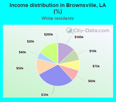 Income distribution in Brownsville, LA (%)