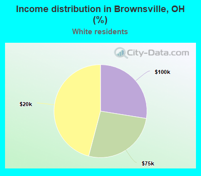 Income distribution in Brownsville, OH (%)