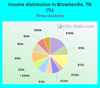 Income distribution in Brownsville, TN (%)