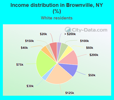 Income distribution in Brownville, NY (%)