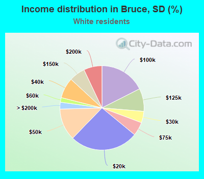 Income distribution in Bruce, SD (%)