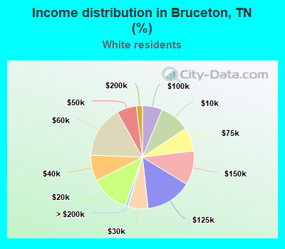 Income distribution in Bruceton, TN (%)