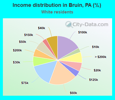 Income distribution in Bruin, PA (%)