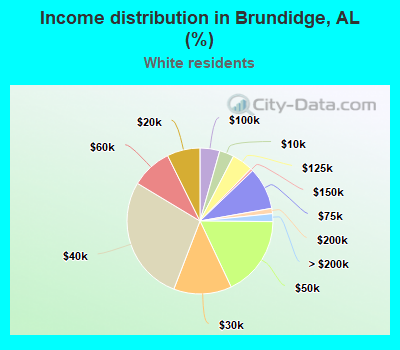 Income distribution in Brundidge, AL (%)