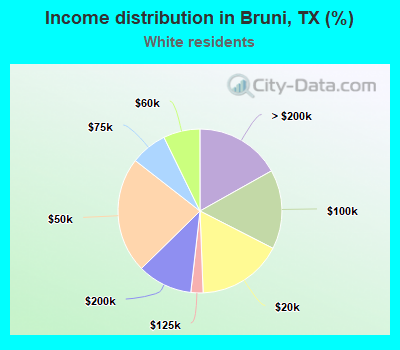 Income distribution in Bruni, TX (%)