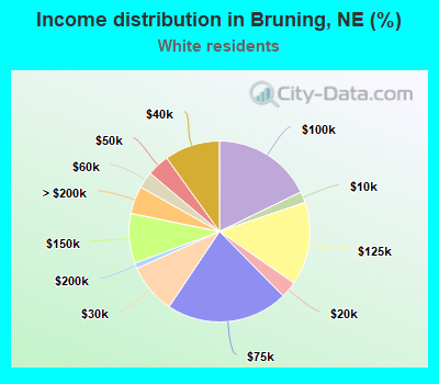 Income distribution in Bruning, NE (%)
